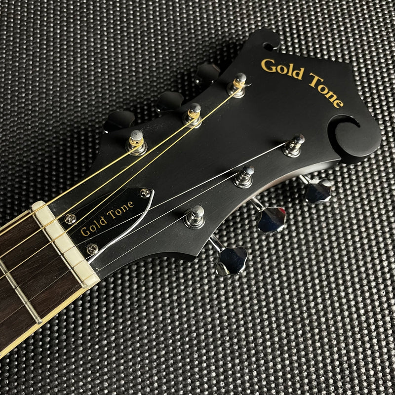 Gold Tone F-6: F-style Mando-Guitar with Pickup and Case - Metronome Music Inc.