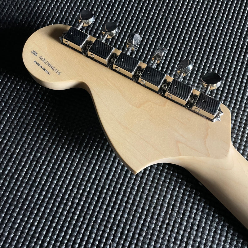 Fender Tom Delong Stratocaster, Rosewood- Daphne Blue