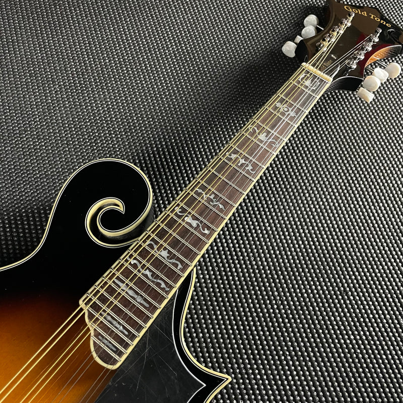 Gold Tone GM-35: F-Style Mandolin with Case
