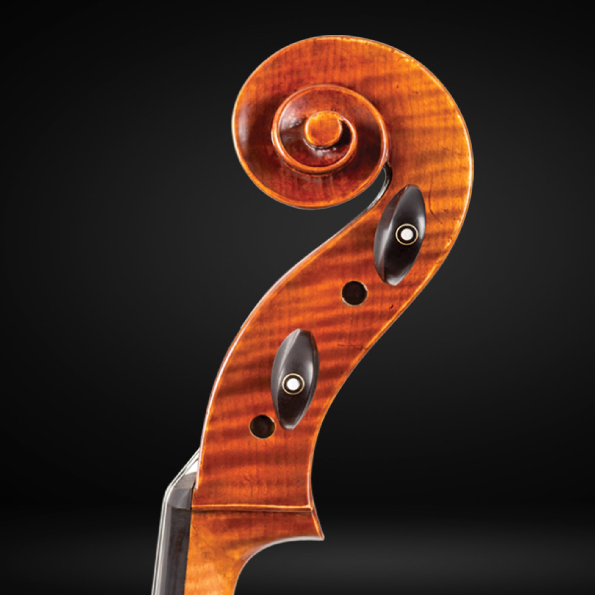 Howard Core Symphony SM30 Professional Cello