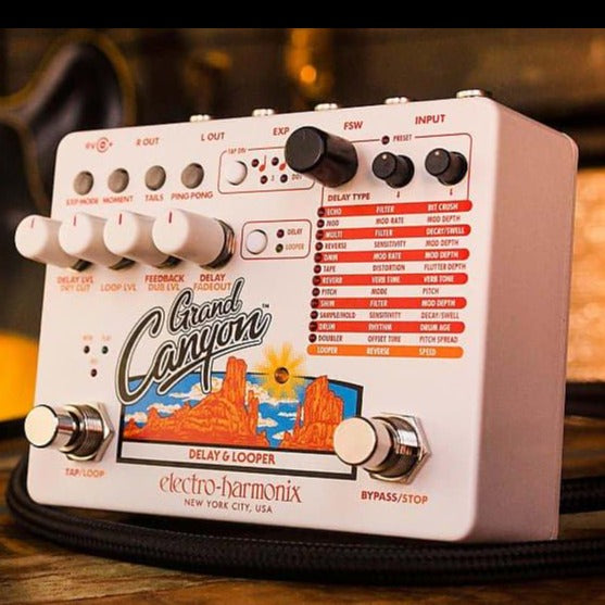 Electro-Harmonix Grand Canyon Delay & Looper - Metronome Music Inc.