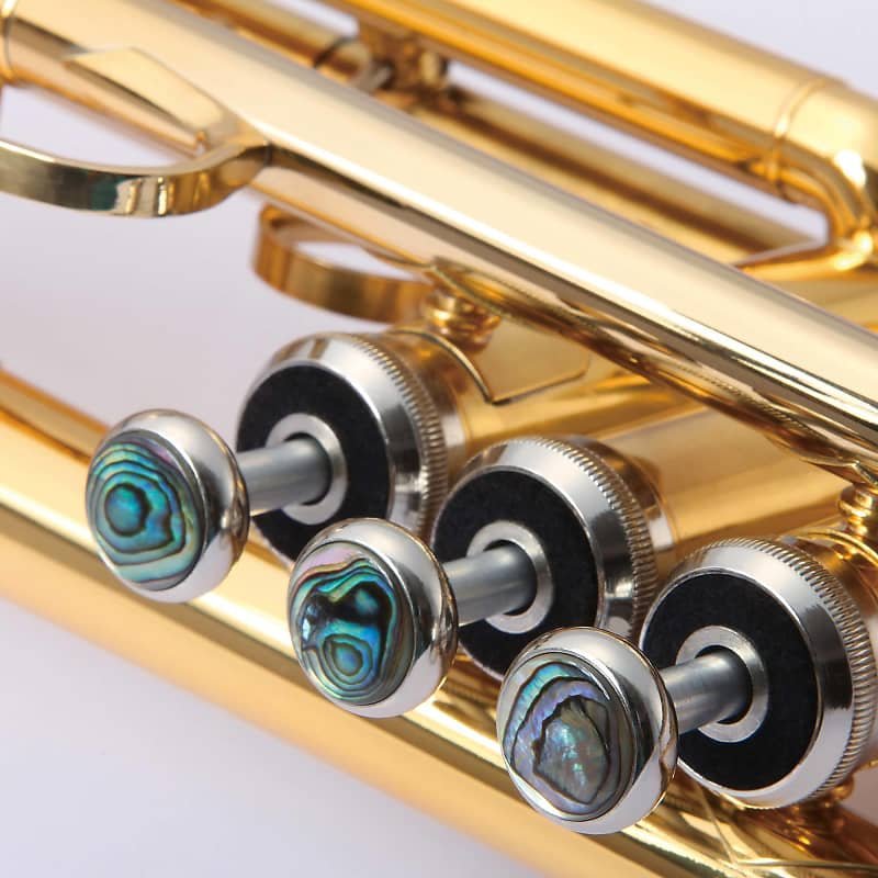 John Packer JP242 Step-Up Bb Tenor Saxophone w/Case, Gold Lacquer